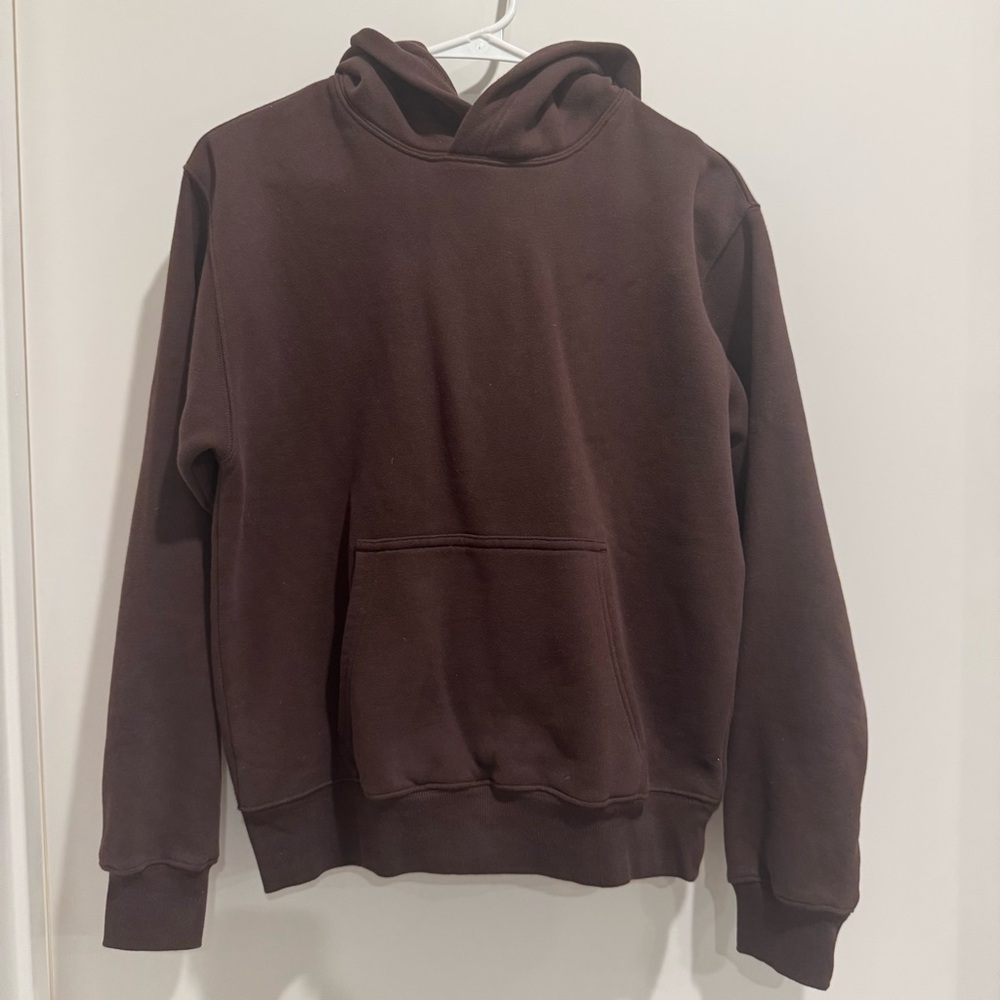 Aritzia Hoodie